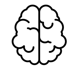brain icon